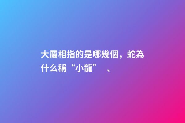 大屬相指的是哪幾個，蛇為什么稱“小龍”、